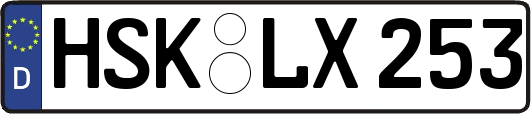 HSK-LX253