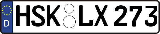 HSK-LX273