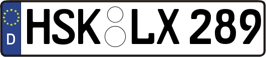 HSK-LX289
