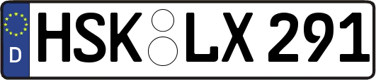 HSK-LX291
