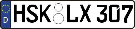 HSK-LX307