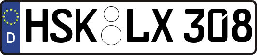 HSK-LX308