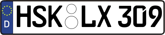 HSK-LX309