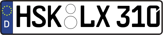 HSK-LX310