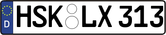 HSK-LX313