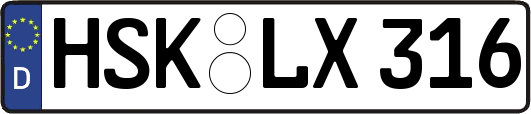 HSK-LX316