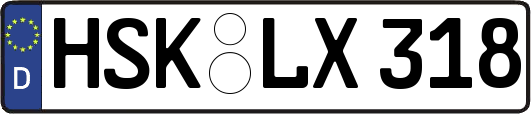 HSK-LX318