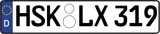 HSK-LX319