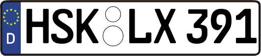 HSK-LX391