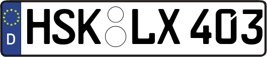 HSK-LX403