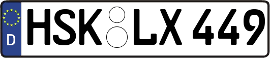 HSK-LX449