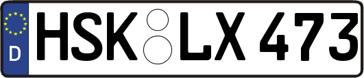 HSK-LX473