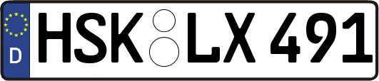 HSK-LX491