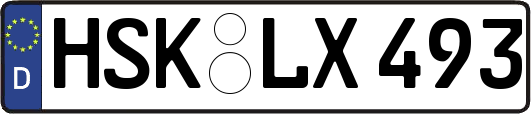 HSK-LX493