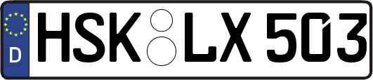 HSK-LX503