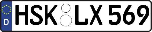 HSK-LX569