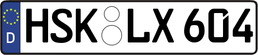 HSK-LX604