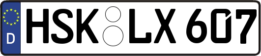 HSK-LX607