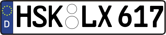 HSK-LX617