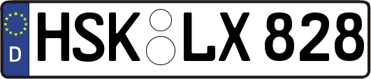 HSK-LX828