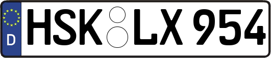 HSK-LX954