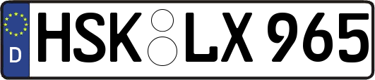 HSK-LX965
