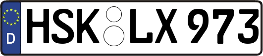 HSK-LX973