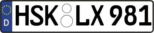 HSK-LX981