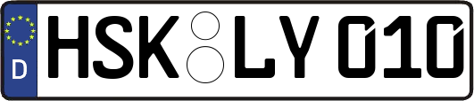 HSK-LY010