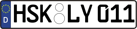 HSK-LY011