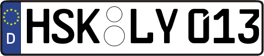 HSK-LY013