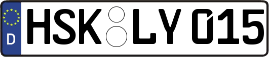 HSK-LY015