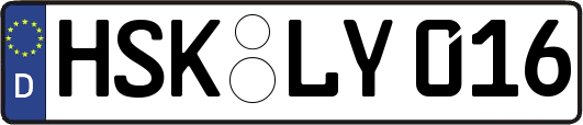 HSK-LY016
