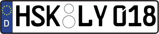 HSK-LY018