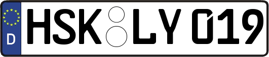 HSK-LY019