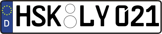 HSK-LY021