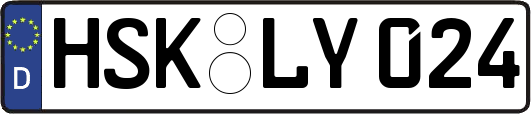HSK-LY024