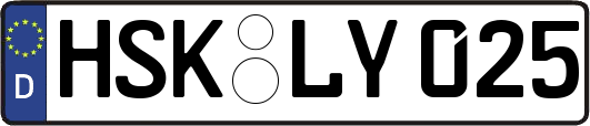 HSK-LY025