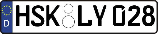 HSK-LY028