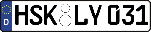 HSK-LY031