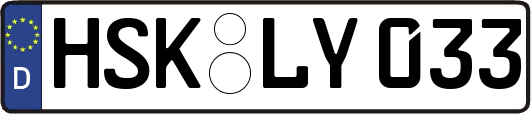 HSK-LY033