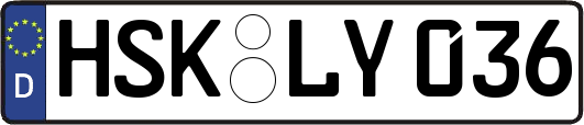 HSK-LY036