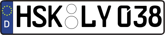 HSK-LY038