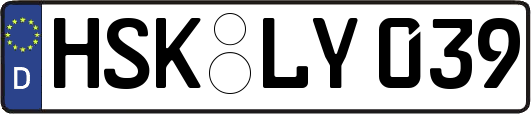 HSK-LY039