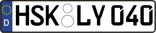 HSK-LY040