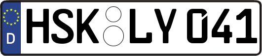 HSK-LY041