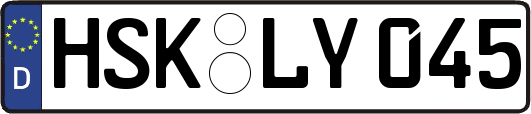 HSK-LY045