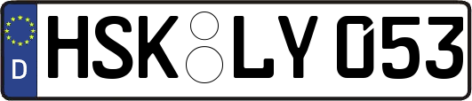 HSK-LY053