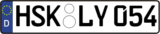 HSK-LY054