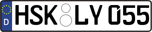 HSK-LY055
